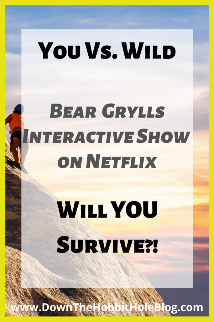 You Vs. Wild Review 