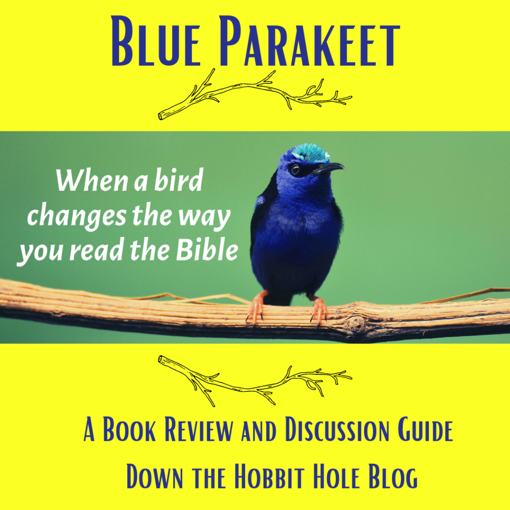Blu Parakeet scot mcknight book review