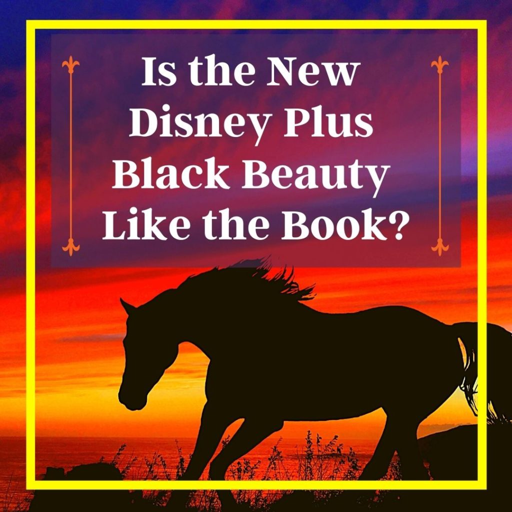 Black Beauty Movie Vs the Book, New Black Beauty Movie Review, Black Beauty Book Review + Curriculum