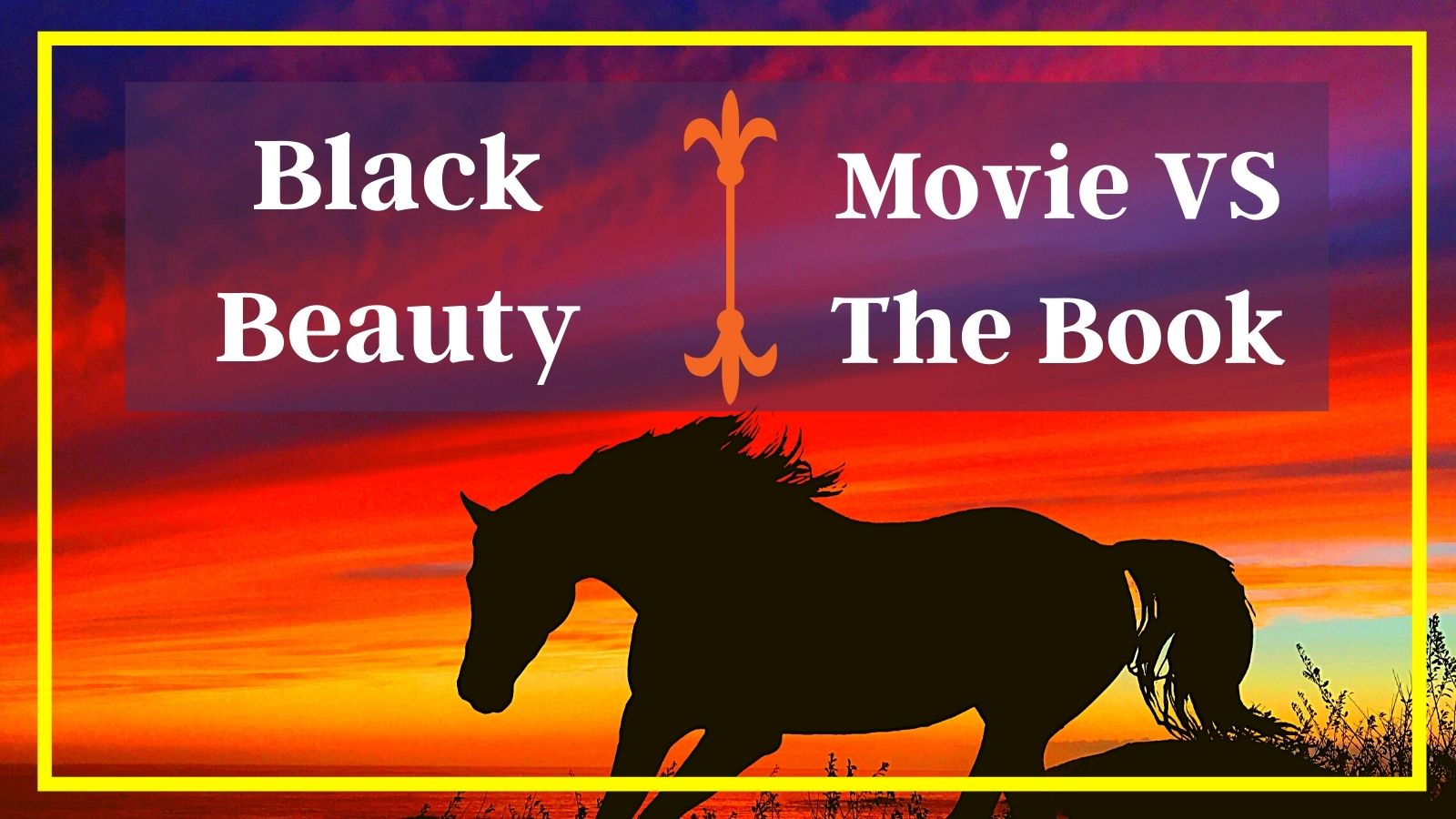 Black Beauty Movie Vs the Book