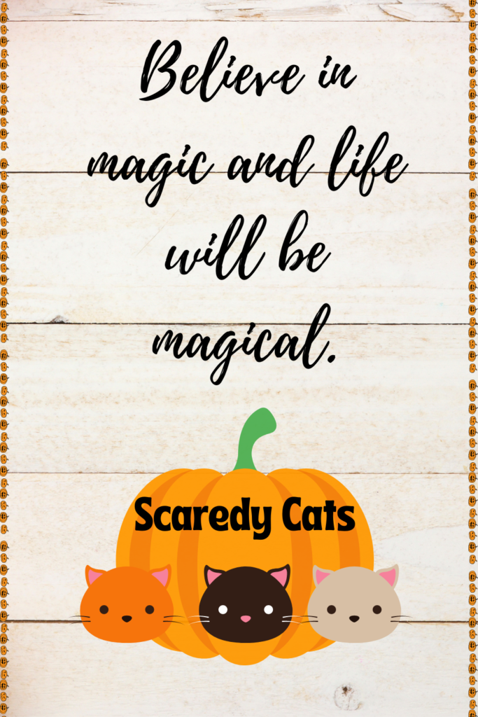 Scaredy Cats Review