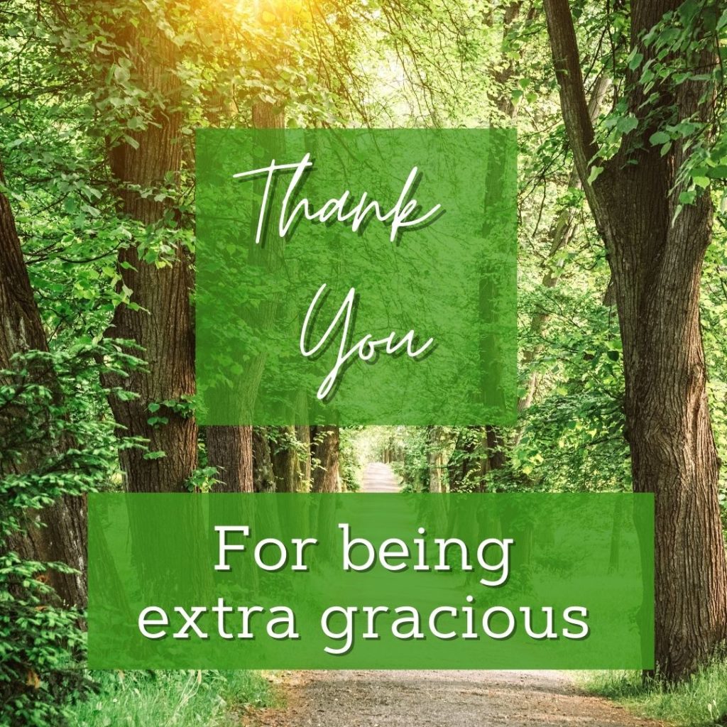 Thank you for being gracious graphic, 20 ways to encourage public servants and others