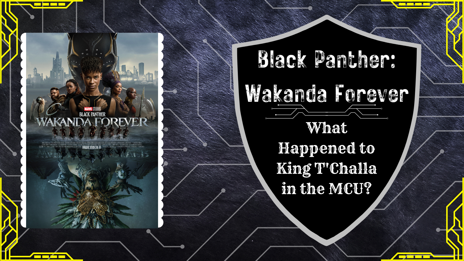 What Happened to T'Challa in the MCU - Black Panther: Wakanda Forever Review 2022